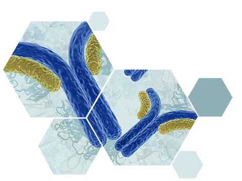 COVID-antibodies-losange copy