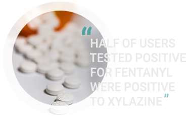 circle-XYLAZINE-2-2023 copy-6-1