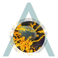 expert-infectious-disease-research-circle-2-3